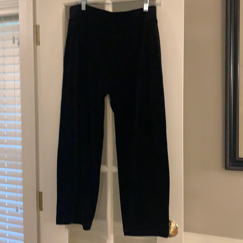 Talbots Velour Pant - Picture 1 of 4